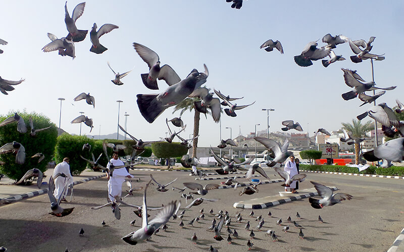 Makkah